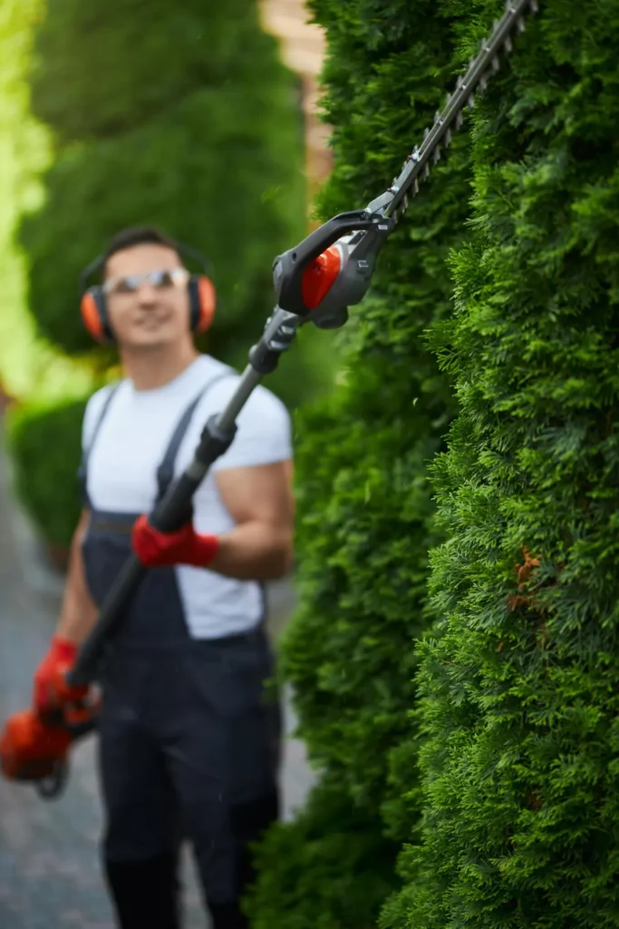 Jardineros cualificados en Jávea, Moraira y Denia